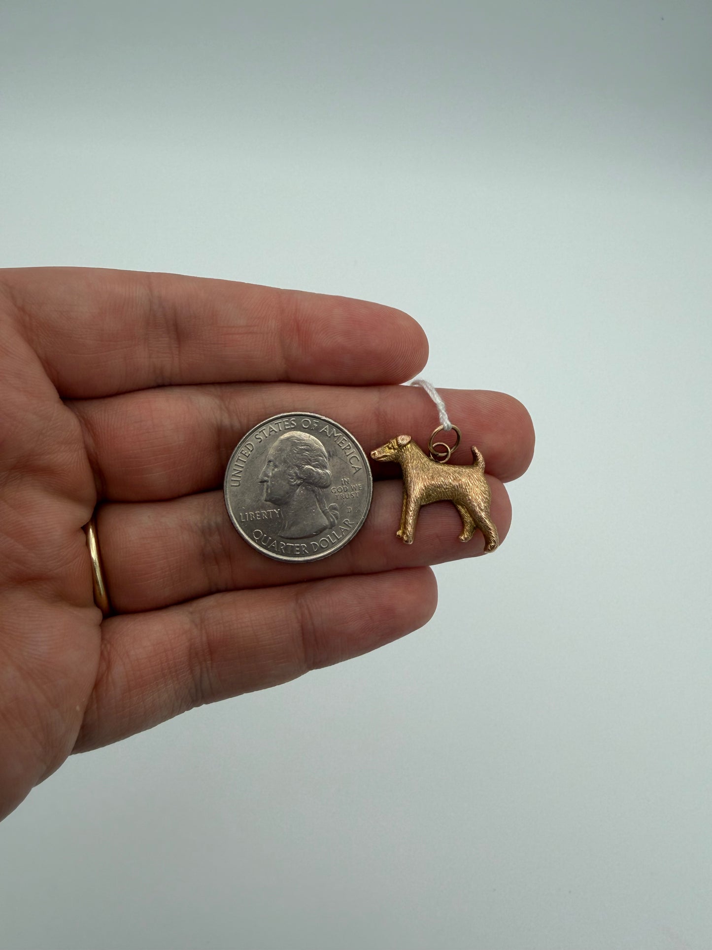 9k Terrier