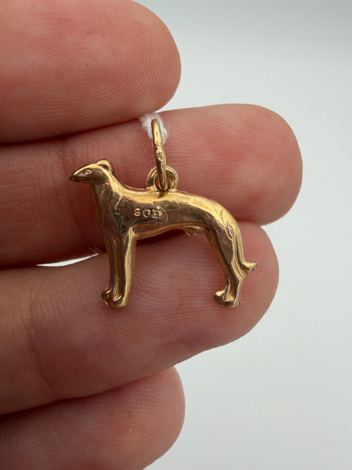 10k Greyhound