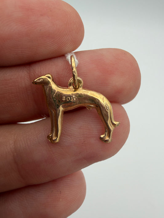10k Greyhound