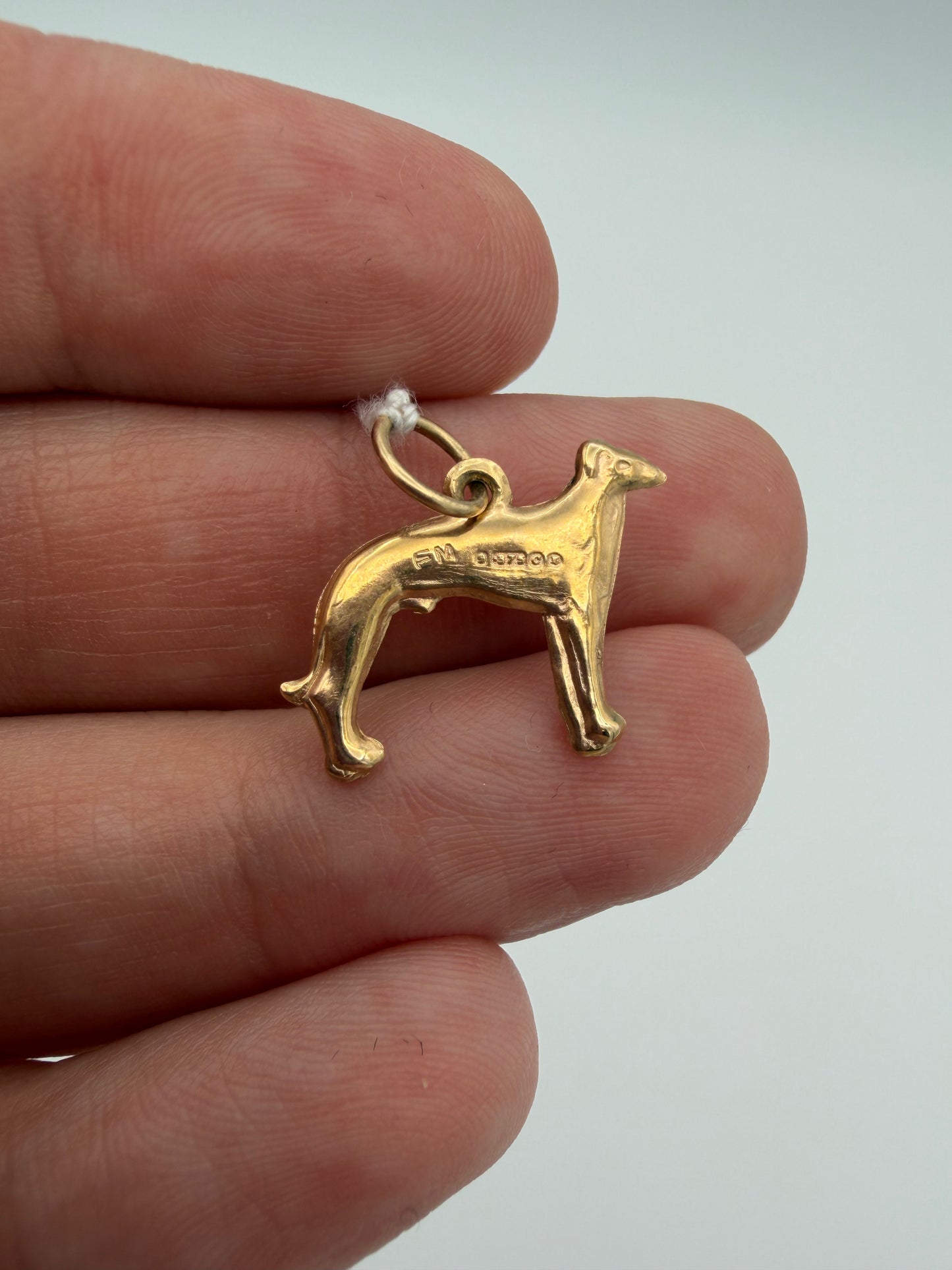 10k Greyhound
