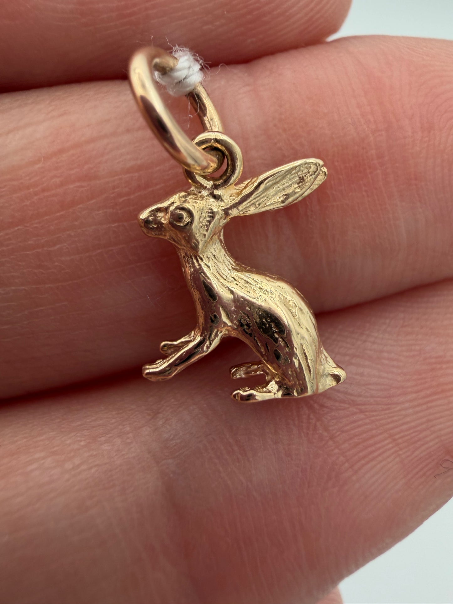 9k Hare