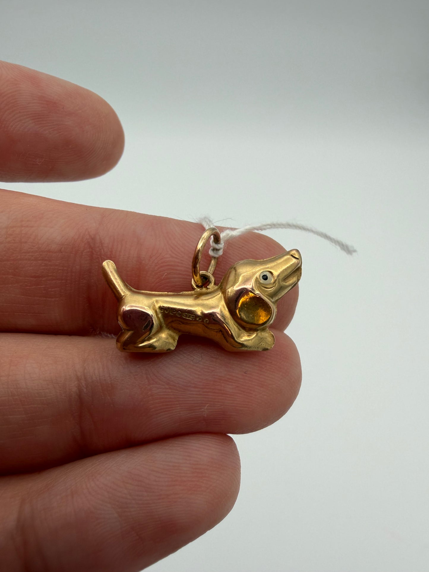 9k Dachshund