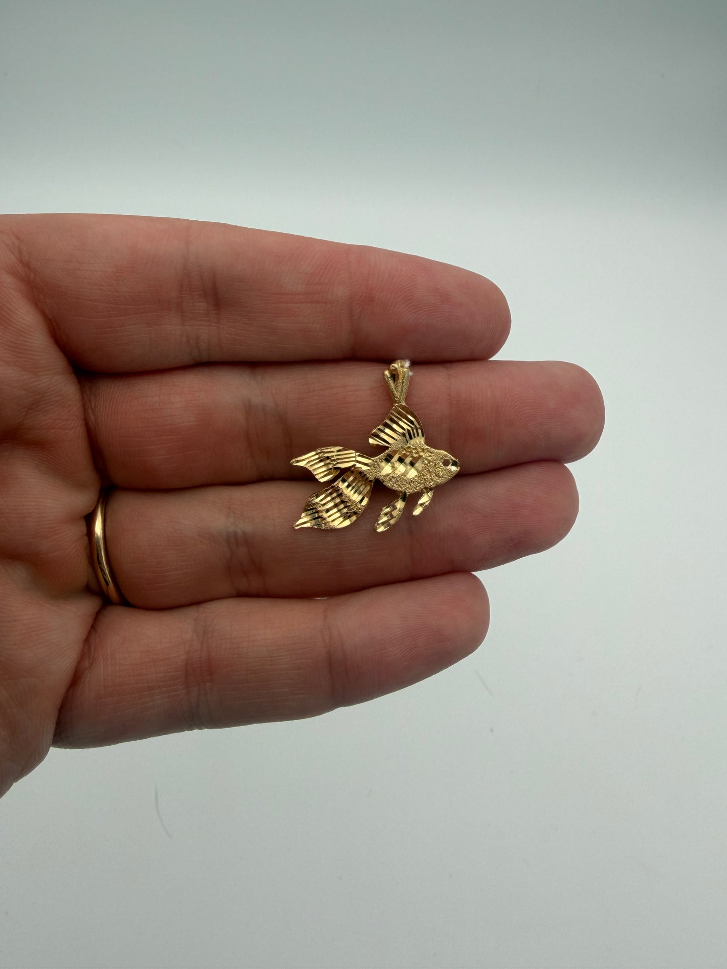 14k Fish