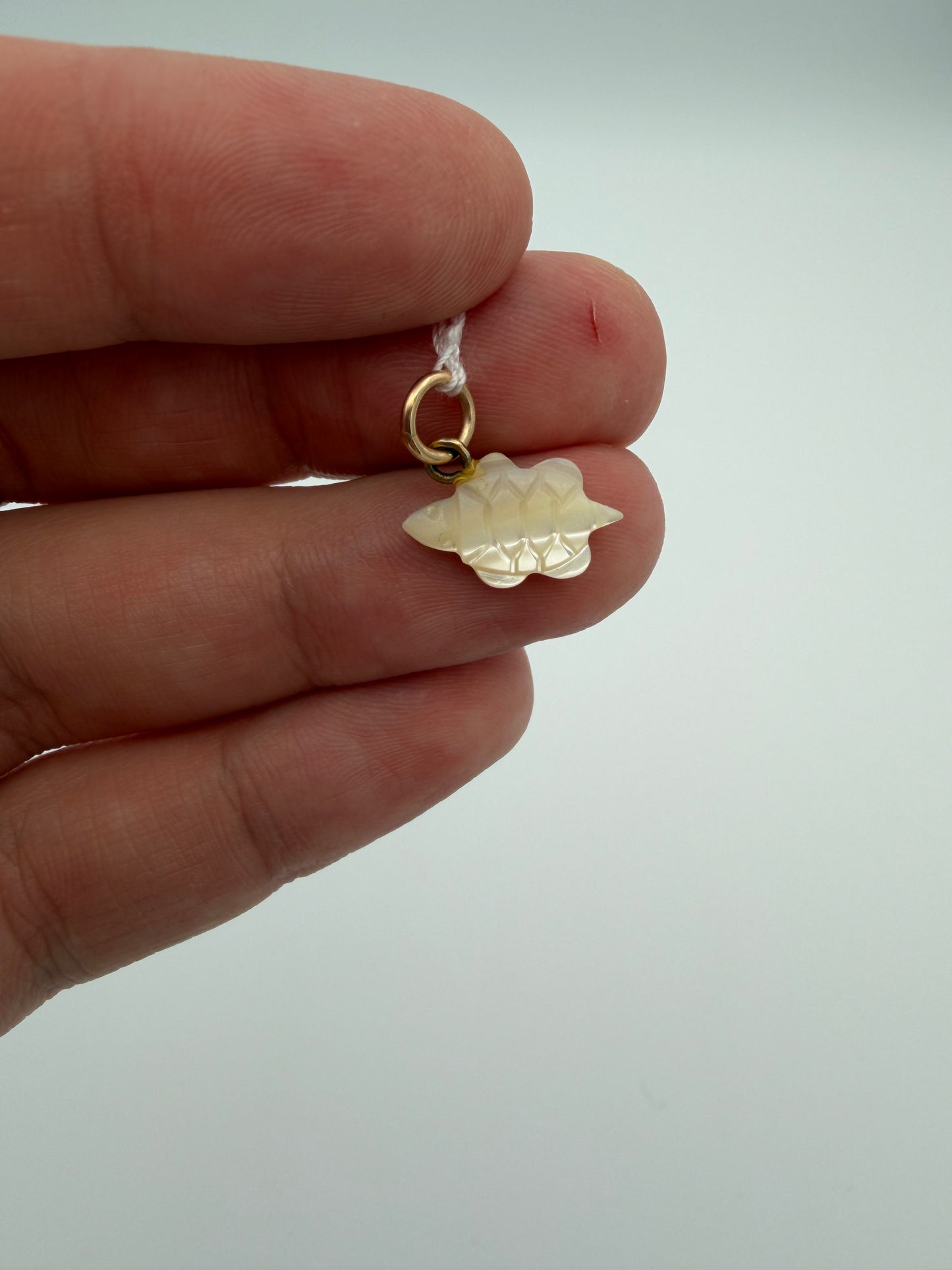 Mother of Pearl Turtle Charm