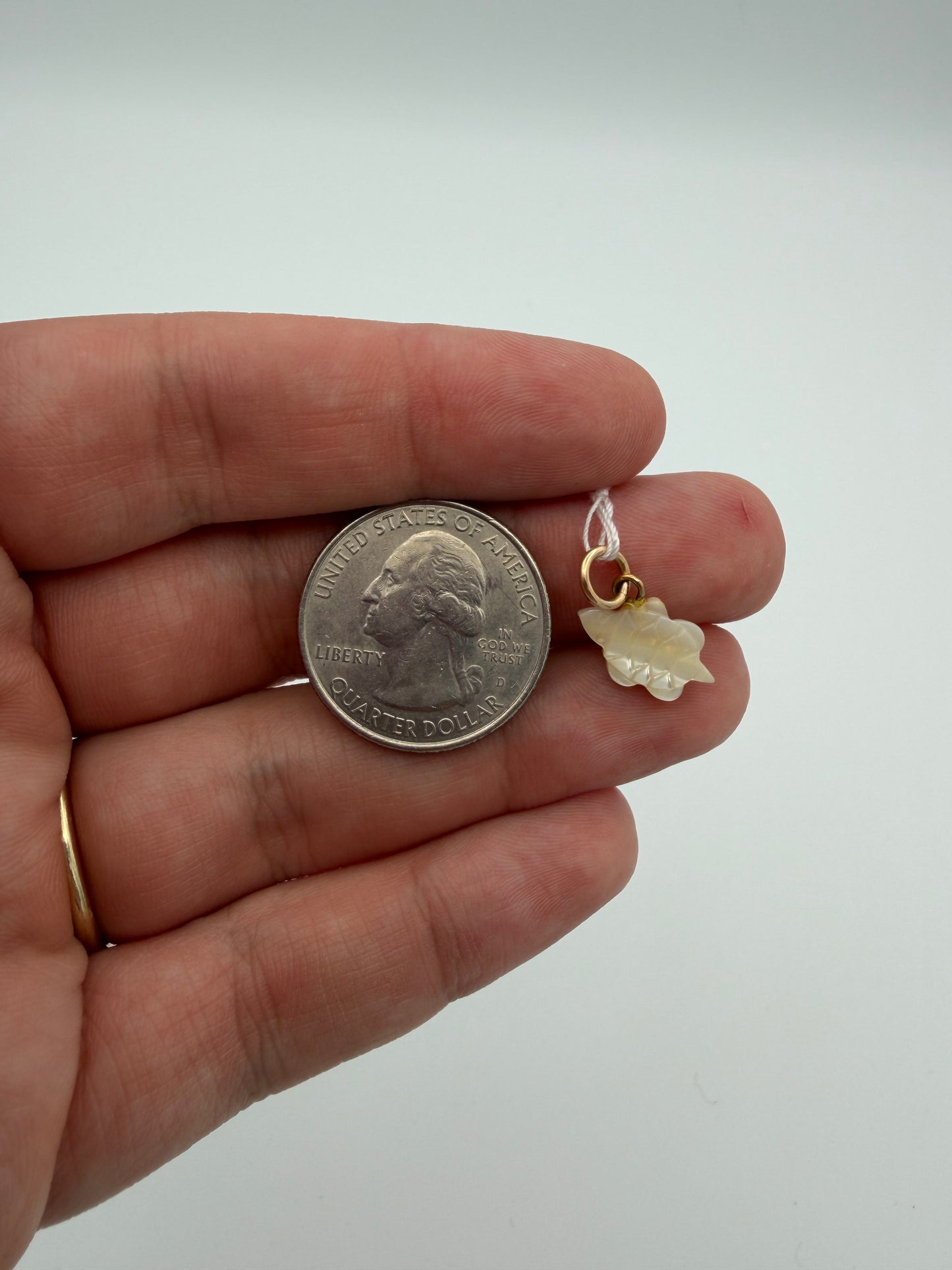 Mother of Pearl Turtle Charm