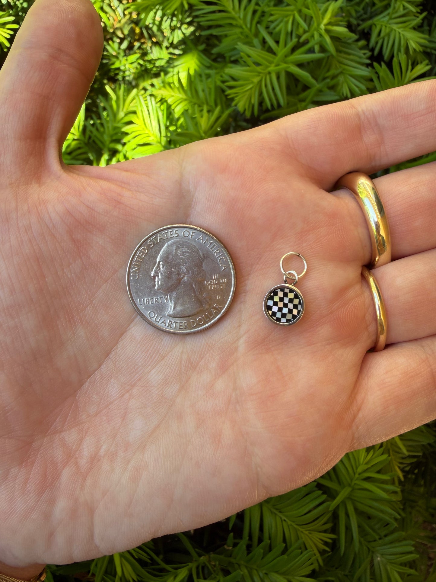 Petite Circle Checkerboard