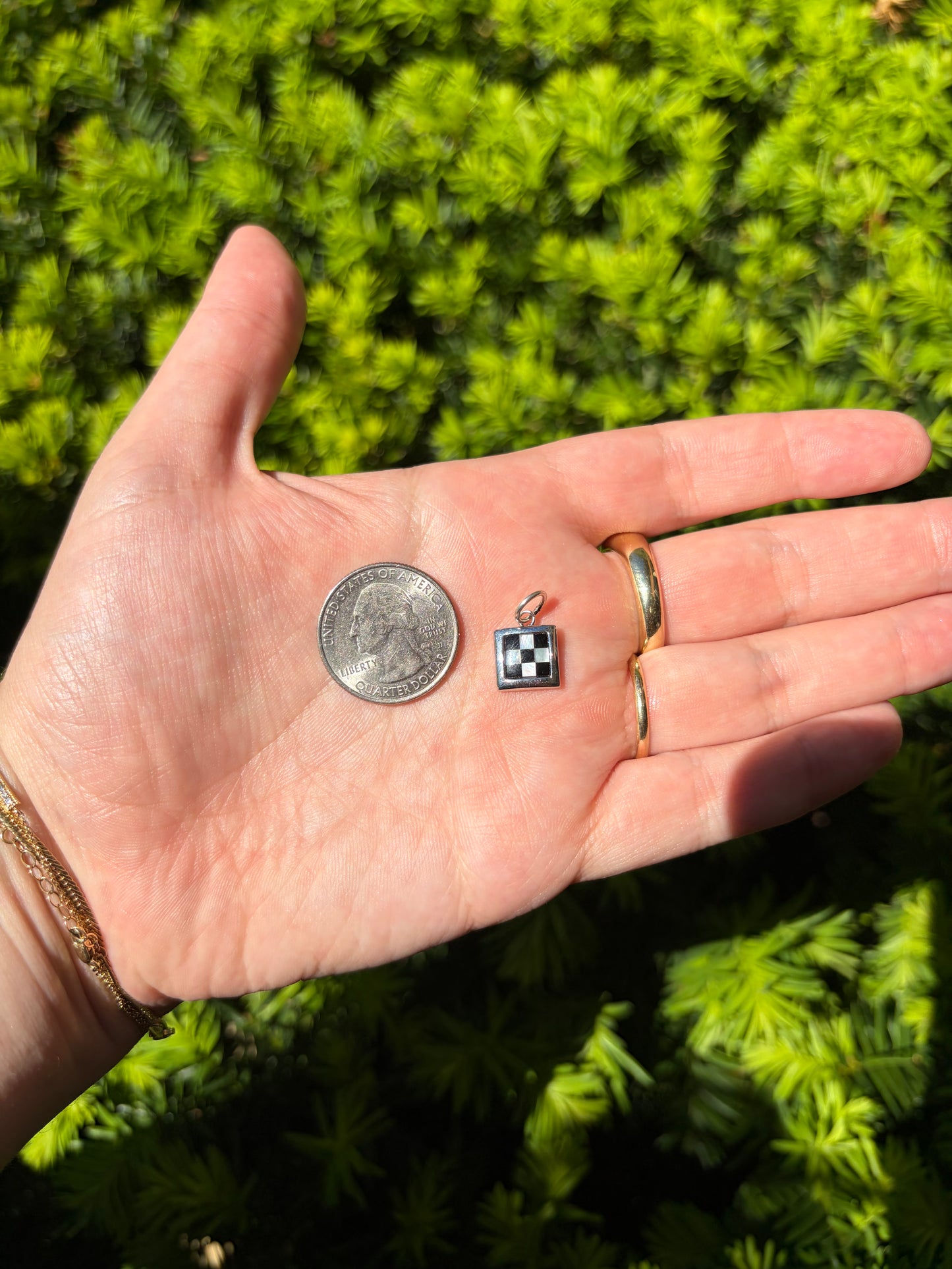 Small Square Checkerboard
