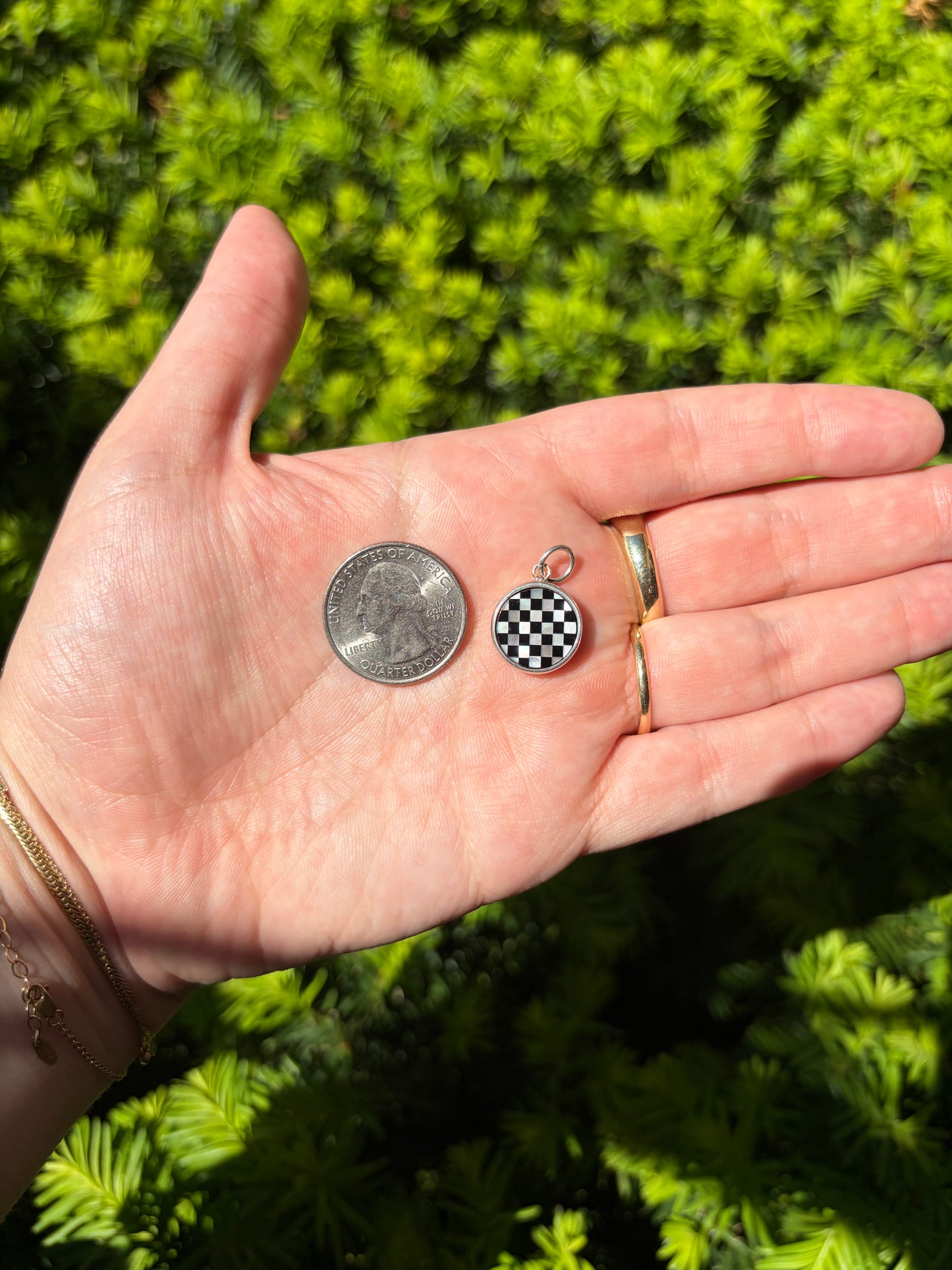 Chunky Circle Checkerboard