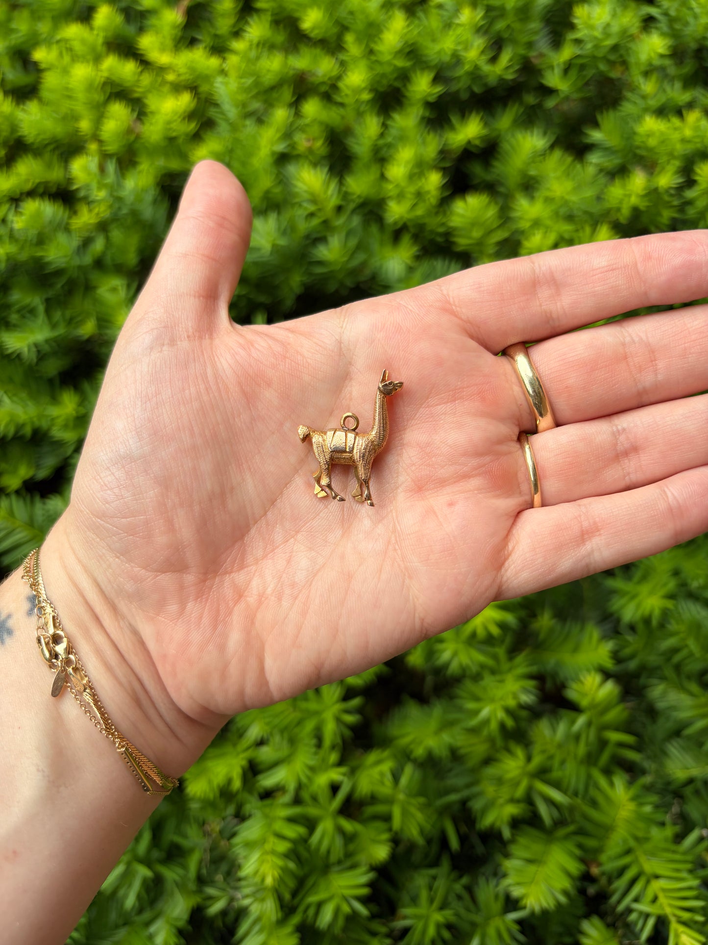 18k Alpaca