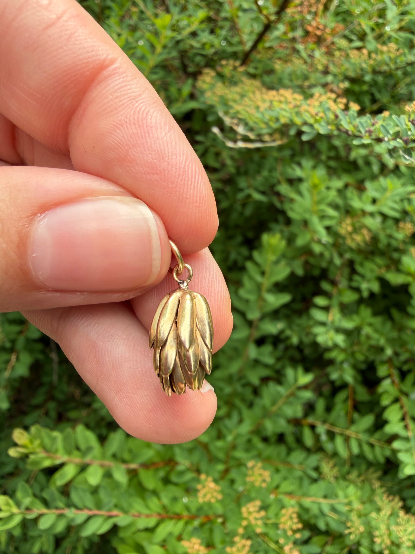 Small Bunch of Bananas