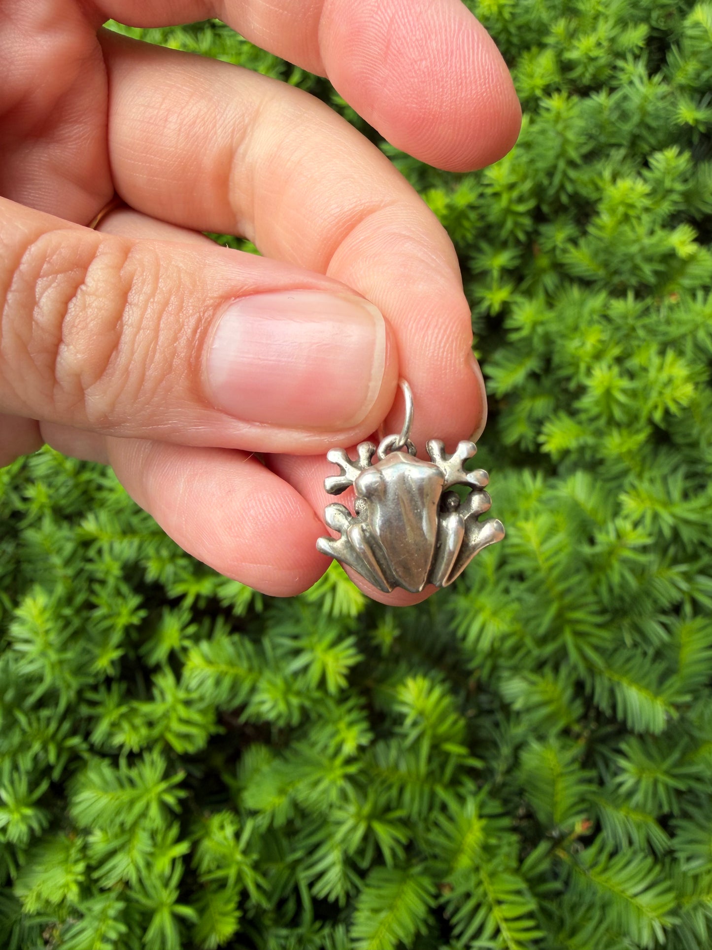 Sterling Silver Frog