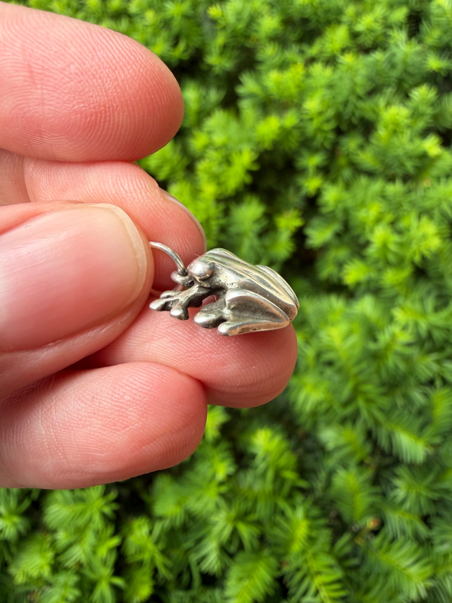 Sterling Silver Frog