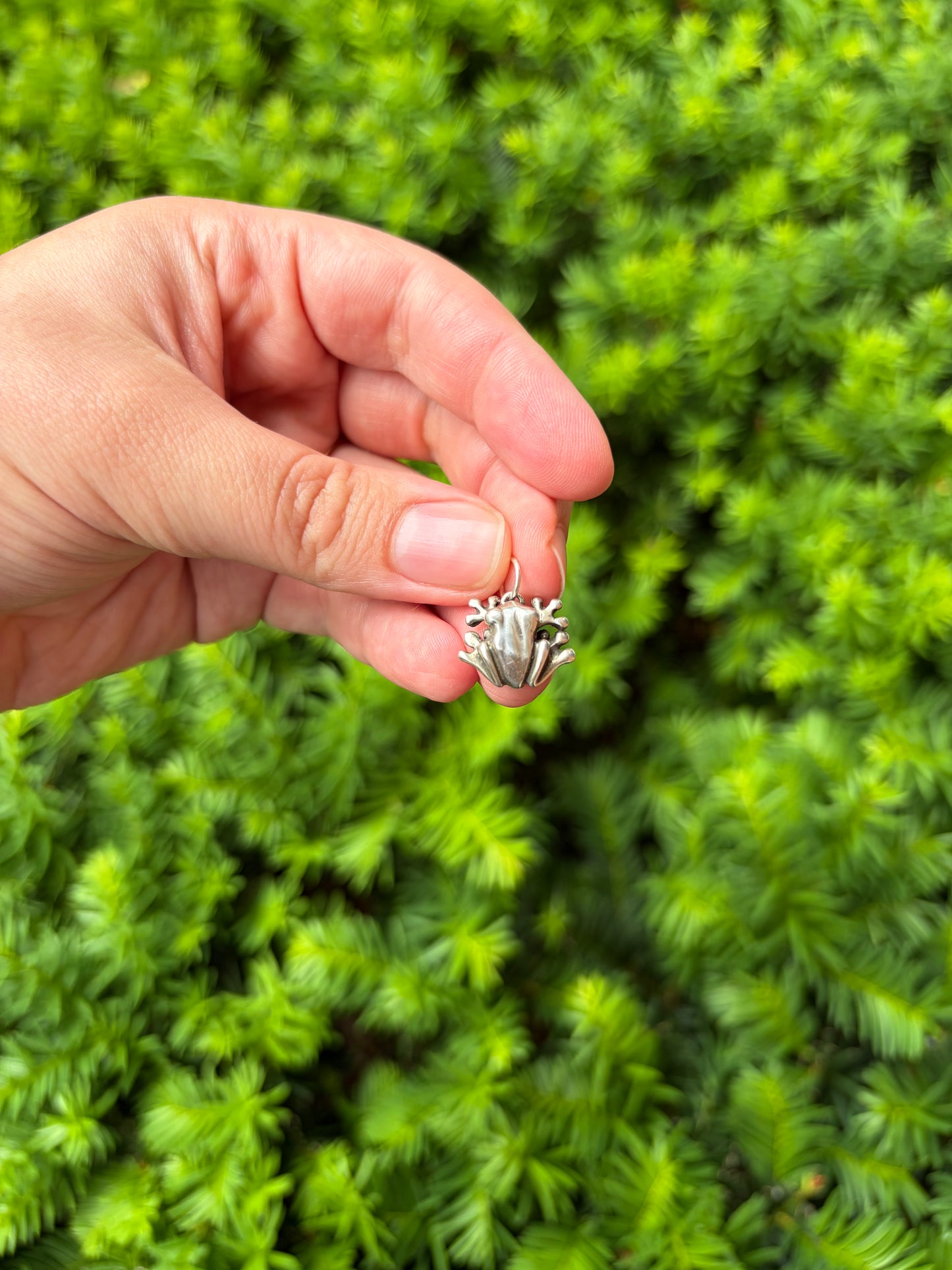 Sterling Silver Frog