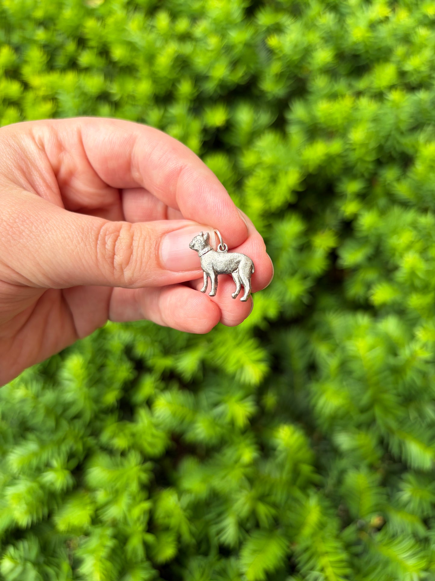 Sterling Silver Boston Terrier