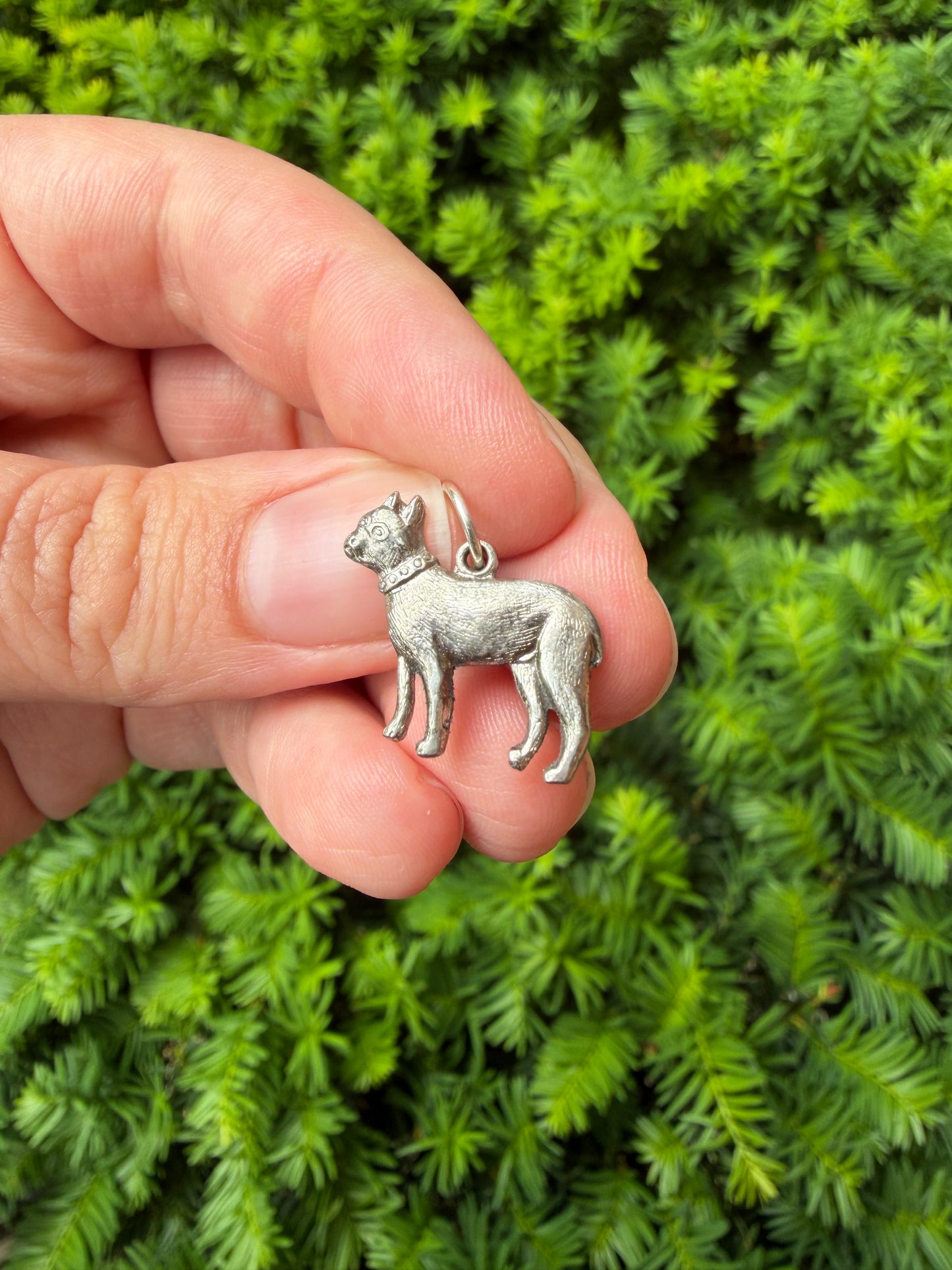 Sterling Silver Boston Terrier