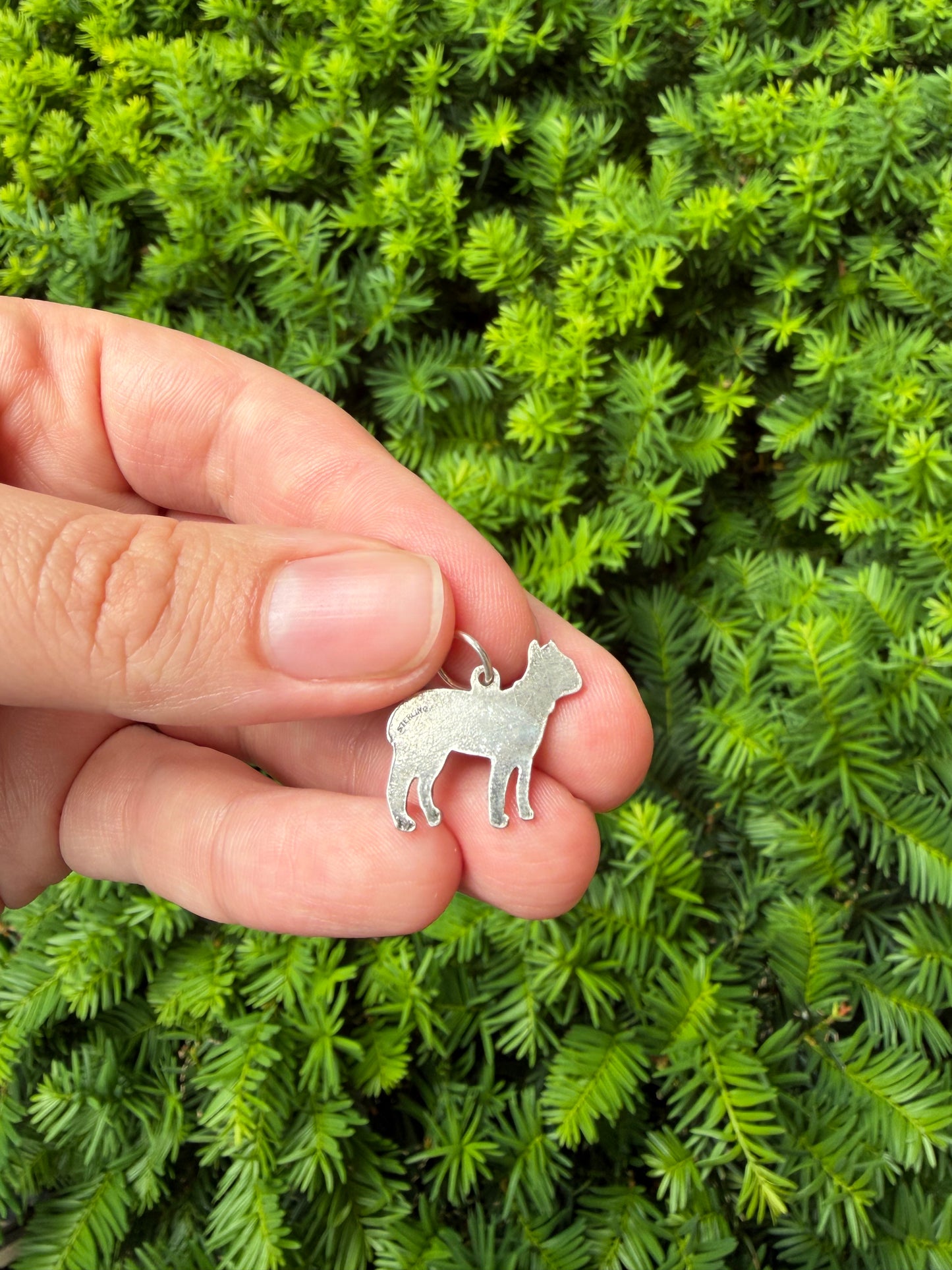 Sterling Silver Boston Terrier