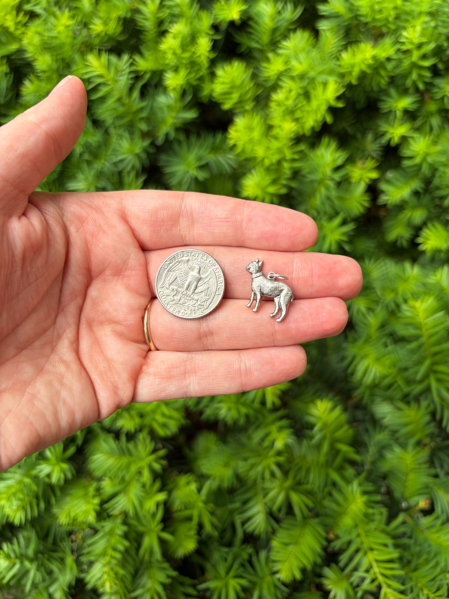 Sterling Silver Boston Terrier