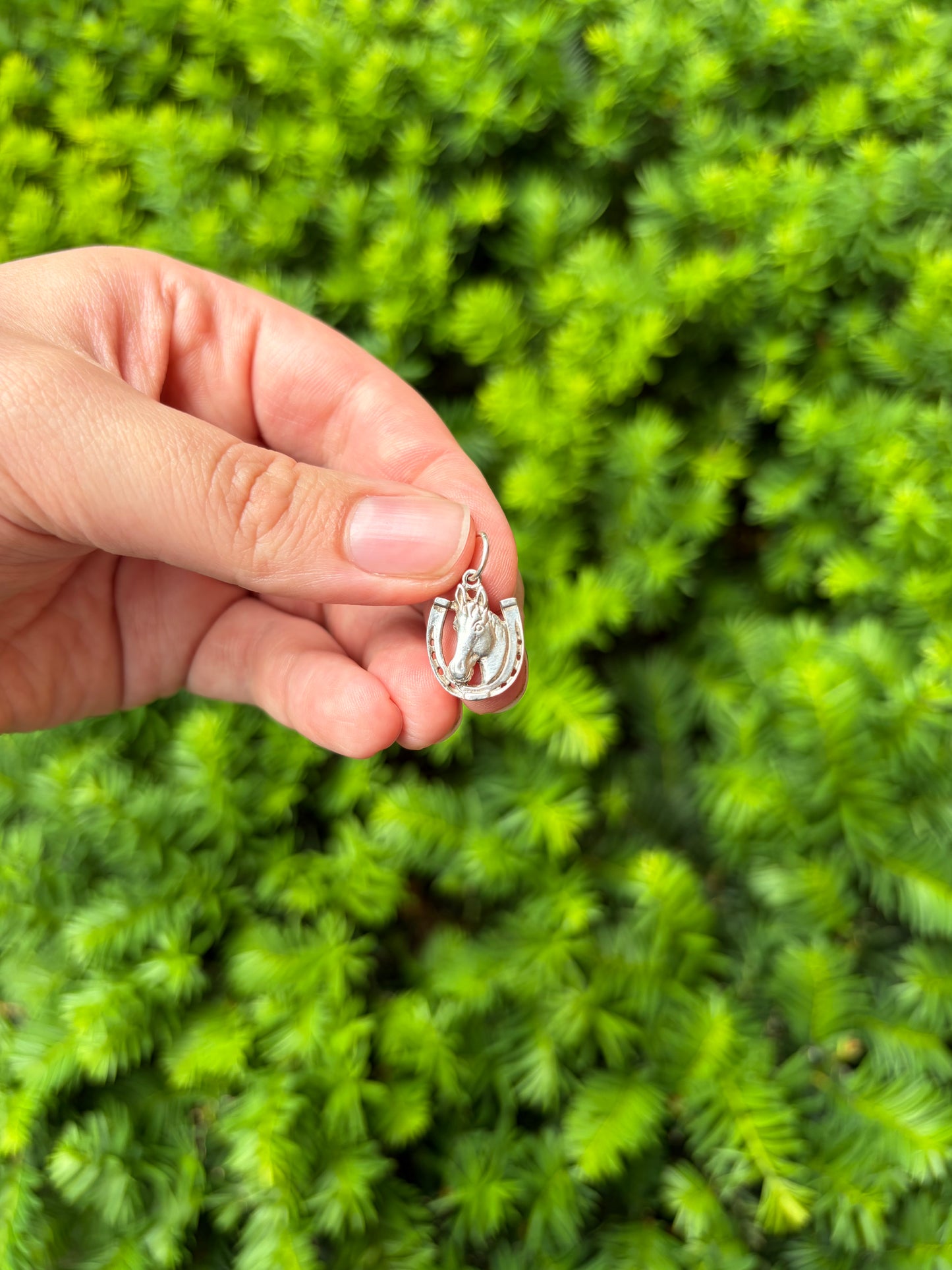 Sterling Silver Horse + Horseshoe