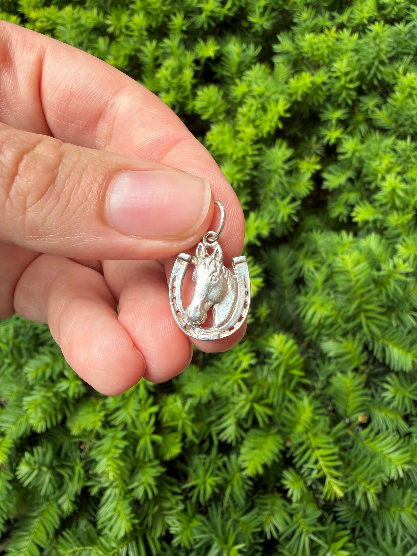 Sterling Silver Horse + Horseshoe