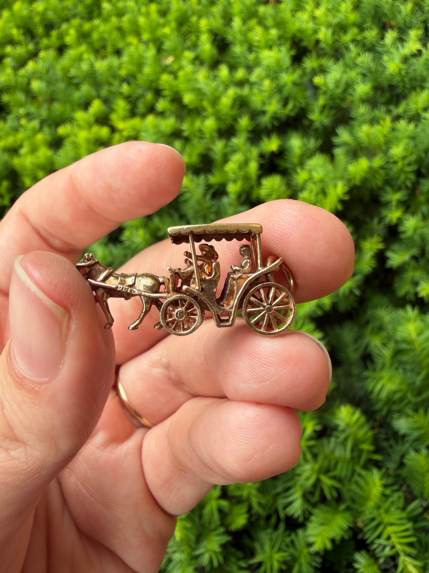 Nassau Horse and Carriage