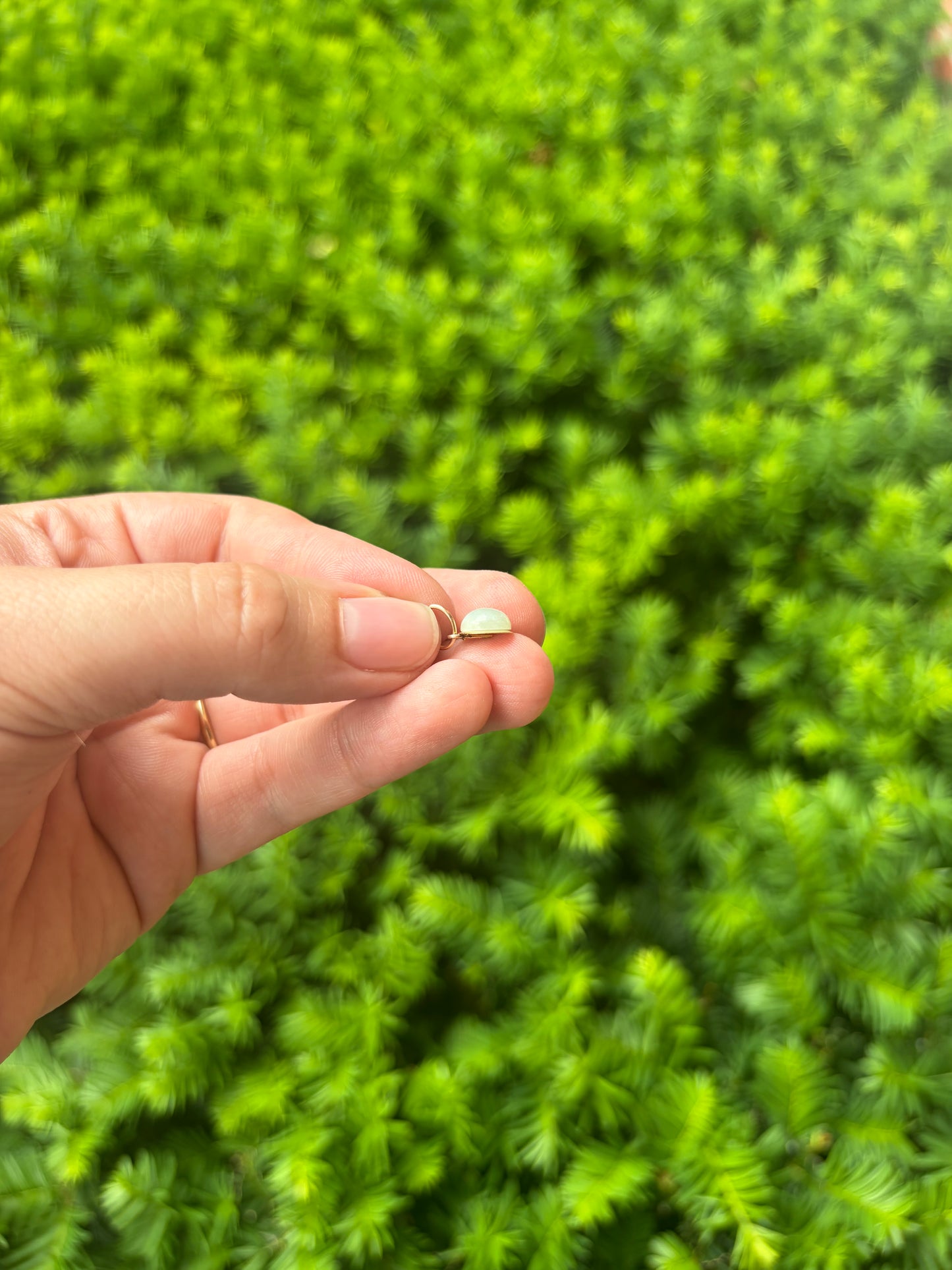 Light Green Jade Charm