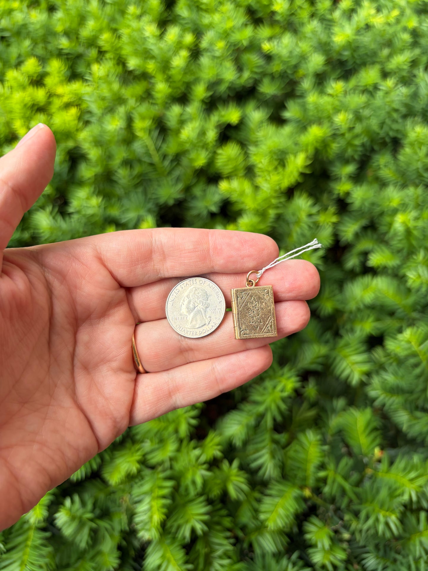 Gold Fill Book Locket