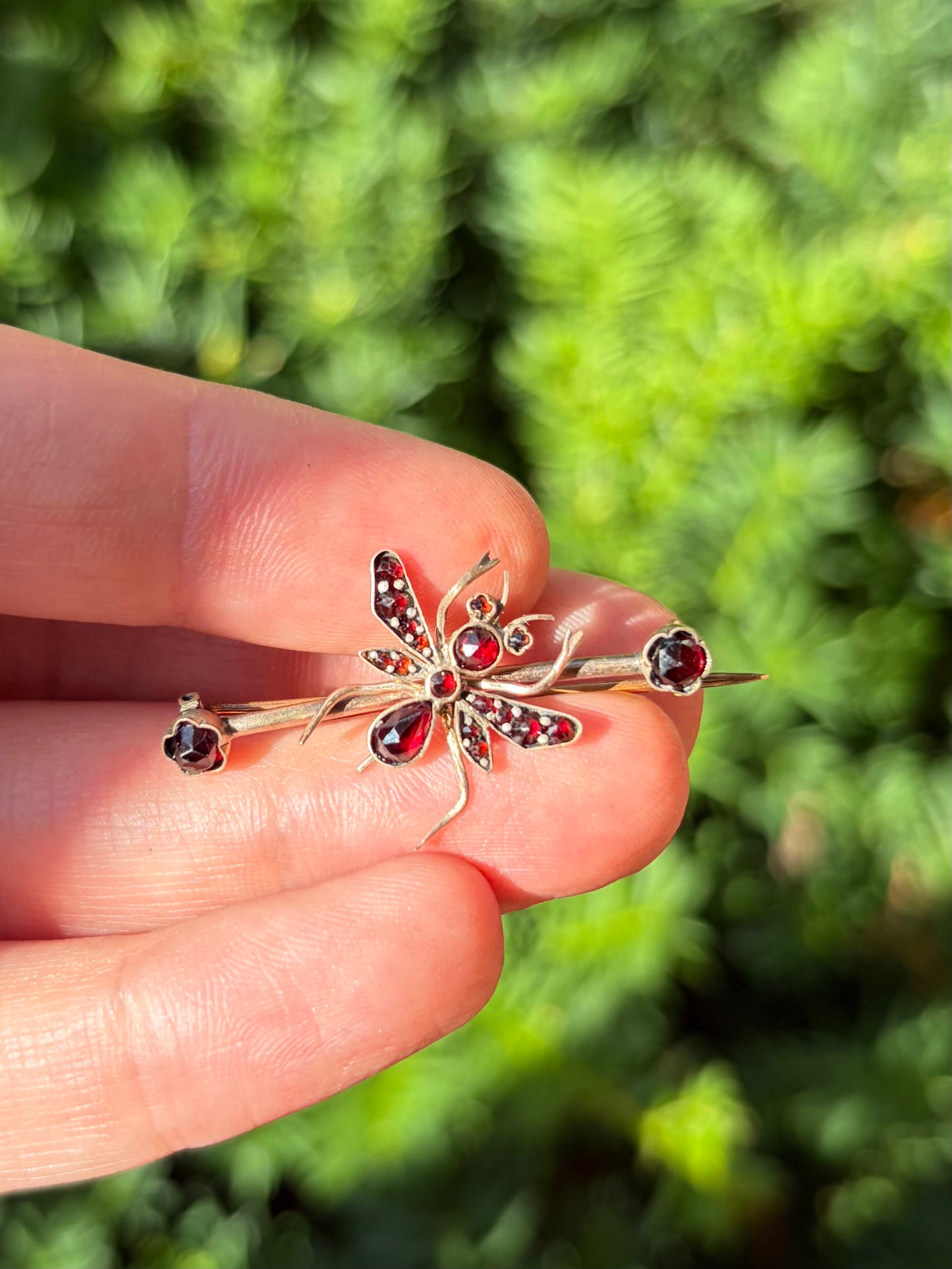 Victorian Garnet Bug Brooch
