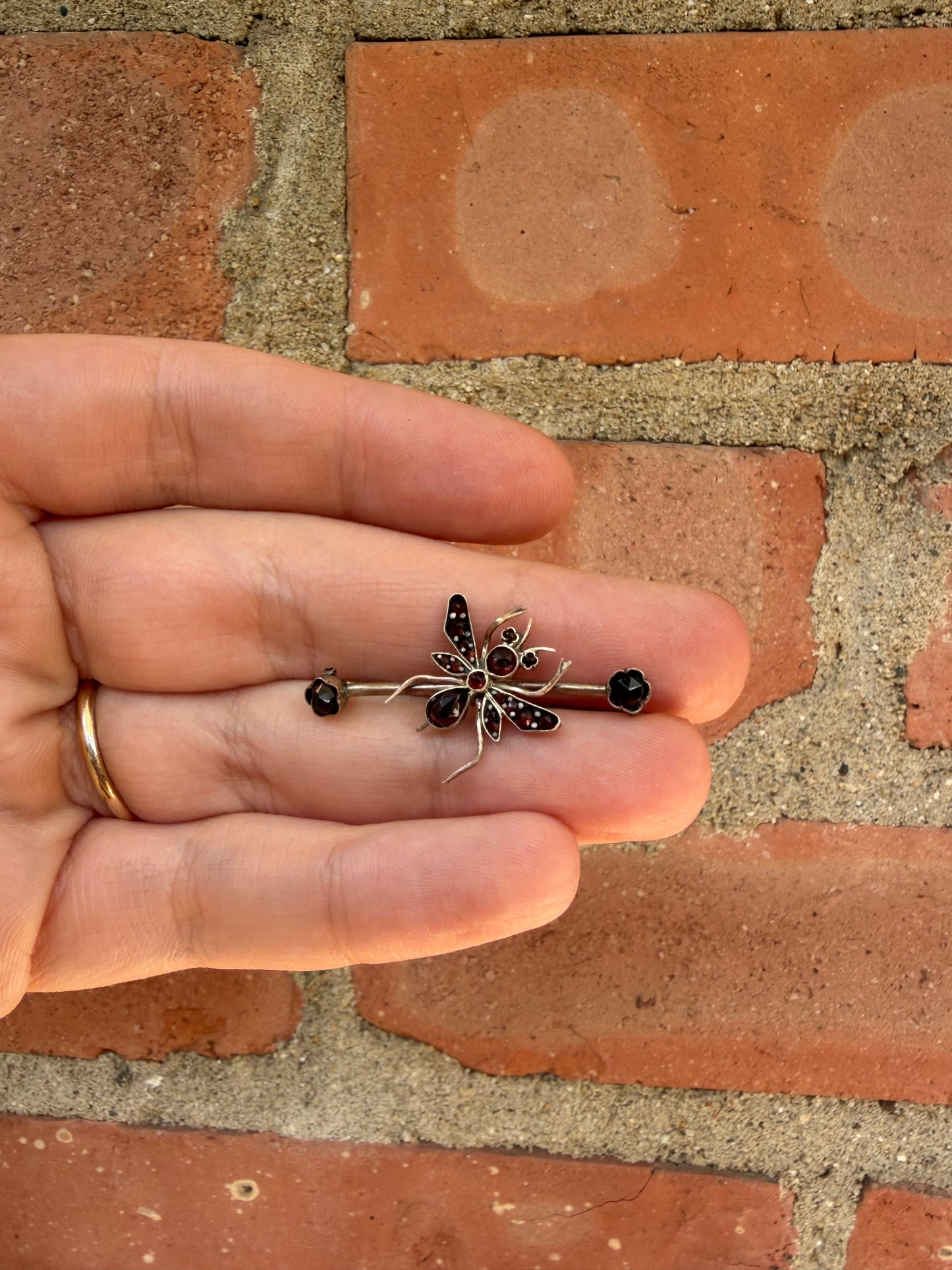 Victorian Garnet Bug Brooch