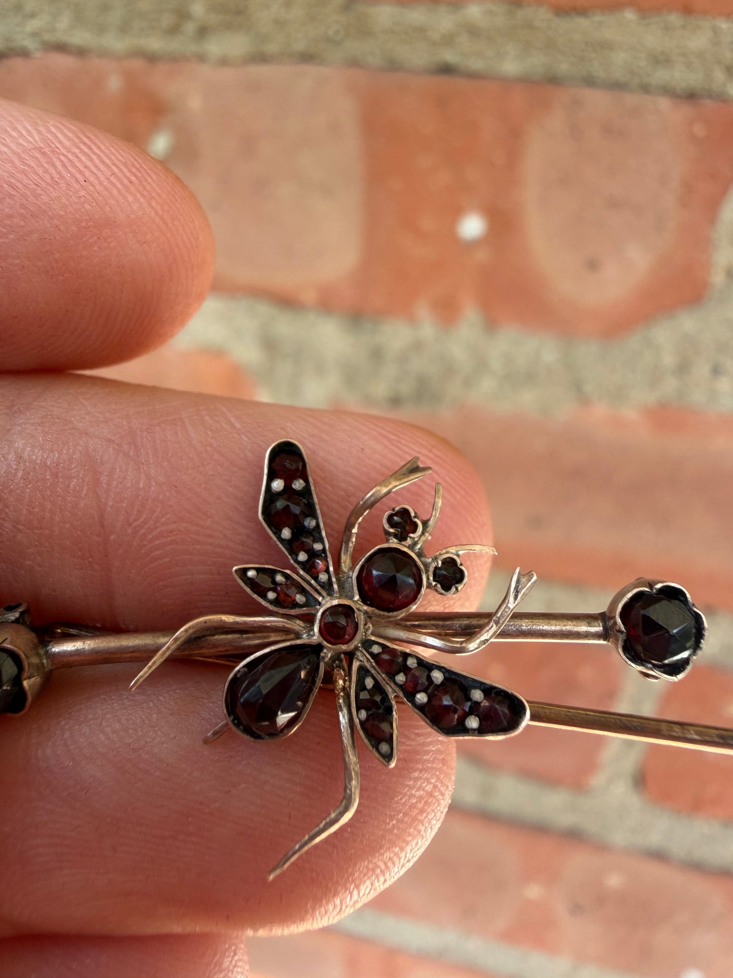 Victorian Garnet Bug Brooch