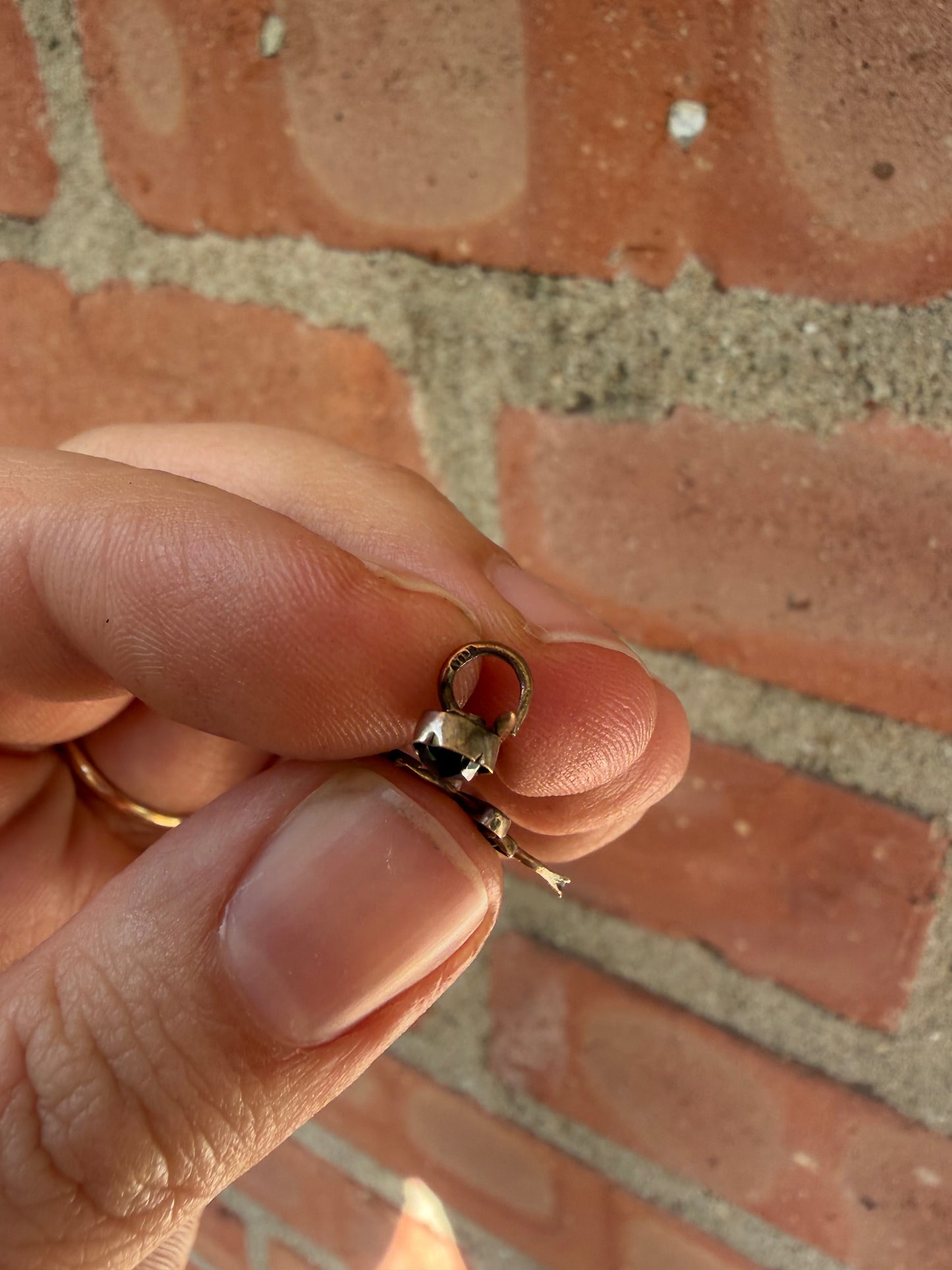 Victorian Garnet Bug Brooch