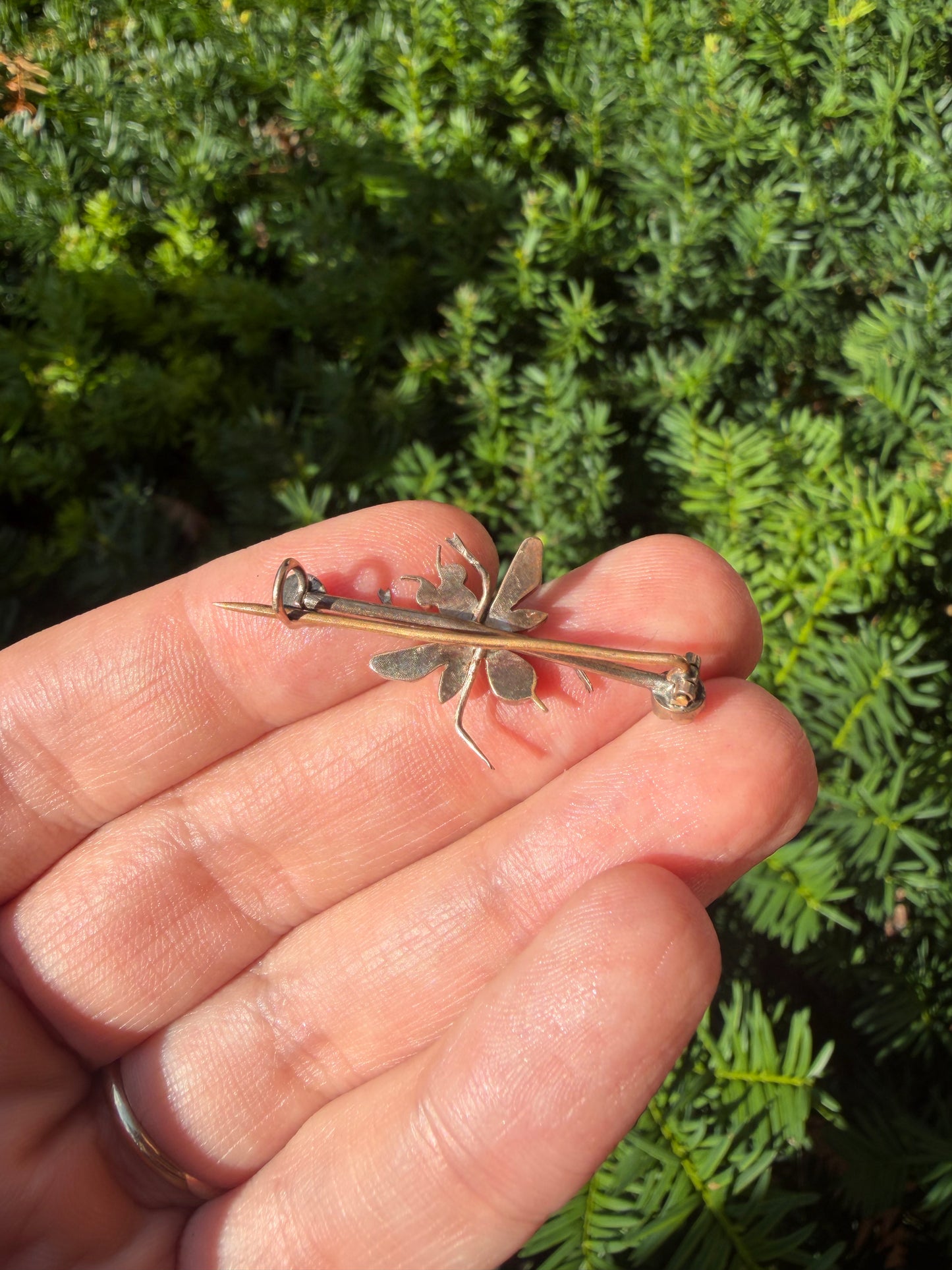 Victorian Garnet Bug Brooch