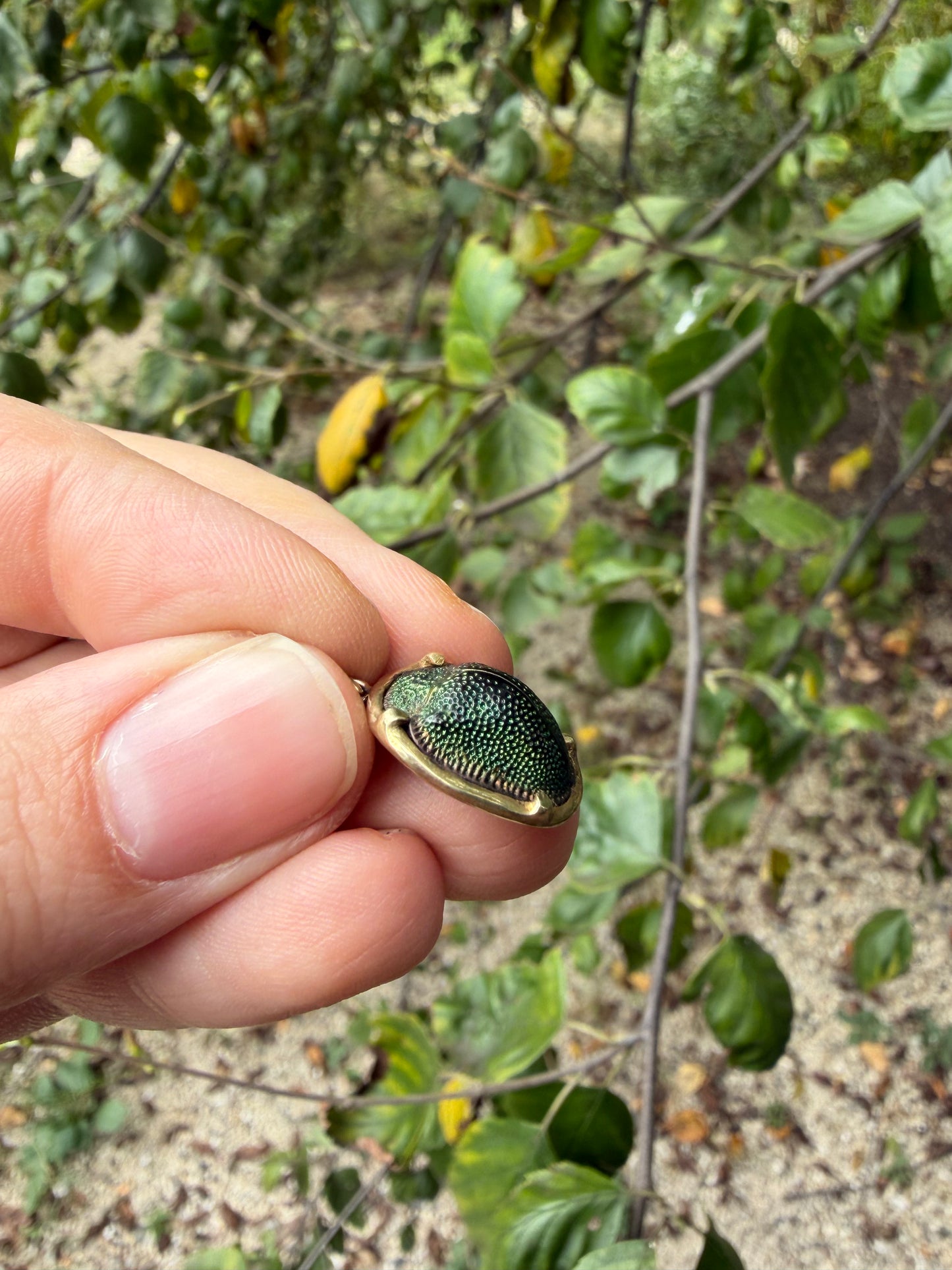 Antique Victorian Scarab Beetle 14K